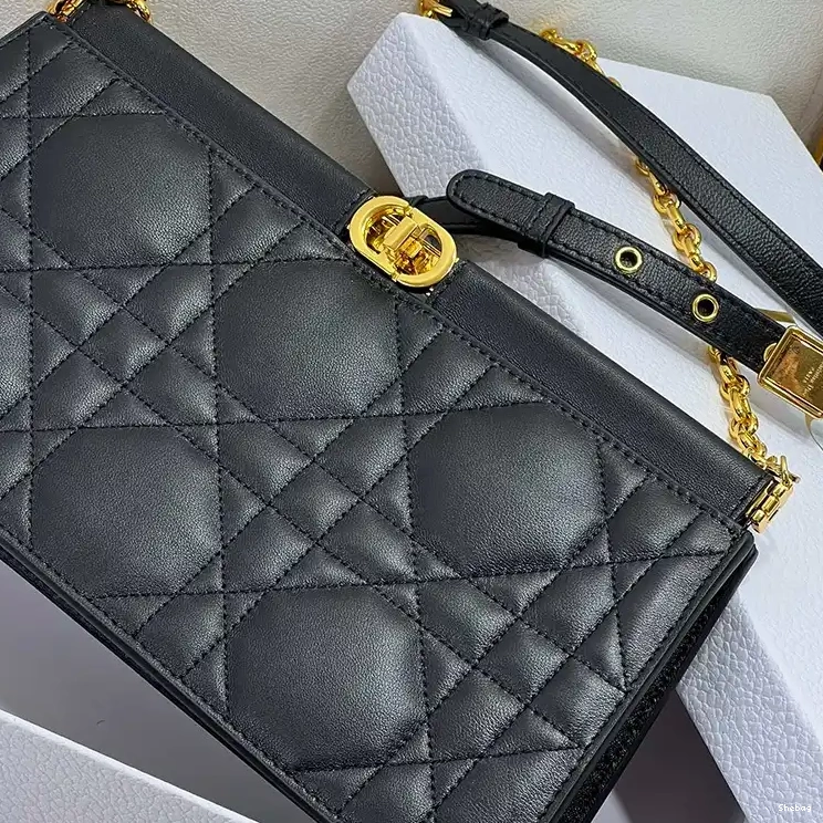 2311YA0126 Bags Dio 0814